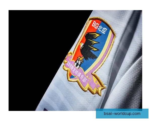 卡尔美一球一城新中甲七队战袍